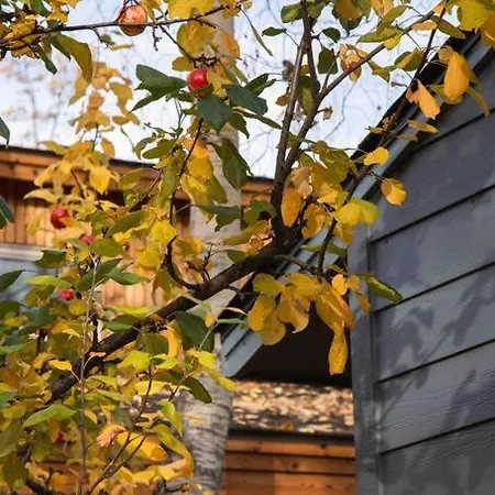 Fireweed Gardens In Roger'S Park Apartment Anchorage Exterior photo